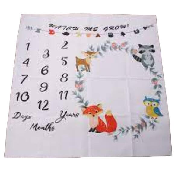 12 Monthly Baby Milestone Photography Blanket - One Size (NWOT) - Picture 4 of 5